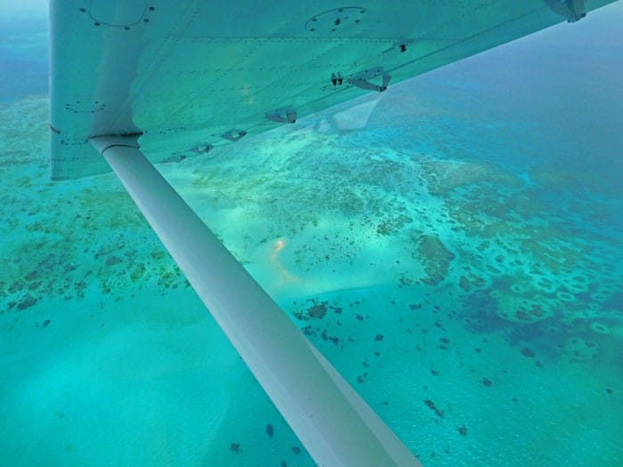 Barrera de coral australia